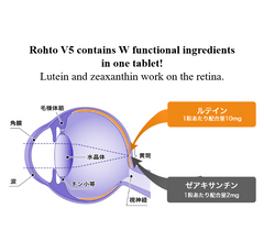 [ROHTO Pharmaceutical] Rohto V5